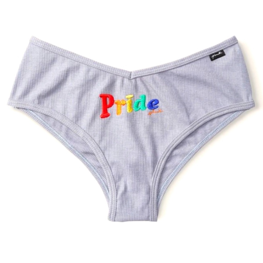 Victorias Secret PINK Rainbow PRIDE Panties NWT